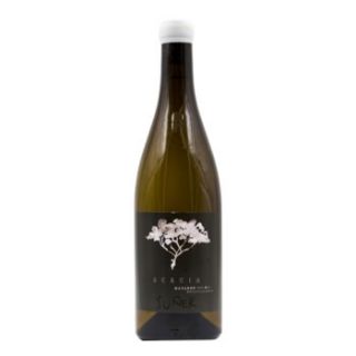 Suñer Blanc Acàcia