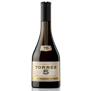 Brandy Torres 5