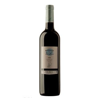 Magnum Embruix Vall Llach - Vinateria Tot Vi
