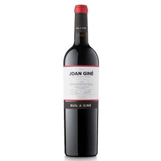 JOAN GINÉ DE BUIL I GINE