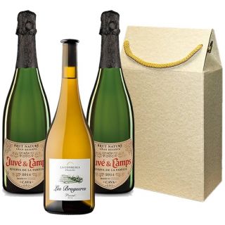 Estuche regalo Juvé y Camps Reserva de la Familia