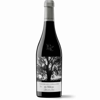 Pago de los Capellanes Finca El Nogal