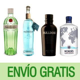 Selección Gin Premium - Vinateria Tot Vi
