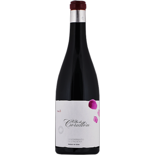 Villa de Corullón-Descendientes de J. Palacios